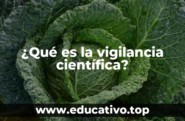 ¿Qué es la vigilancia científica?