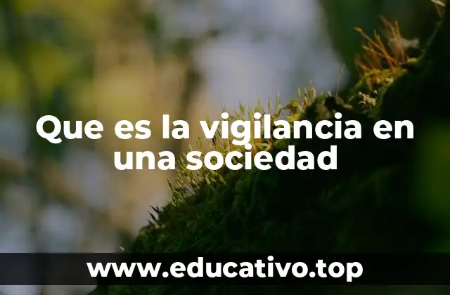 Que es la vigilancia en una sociedad