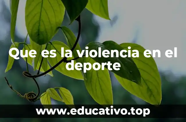 Que es la violencia en el deporte