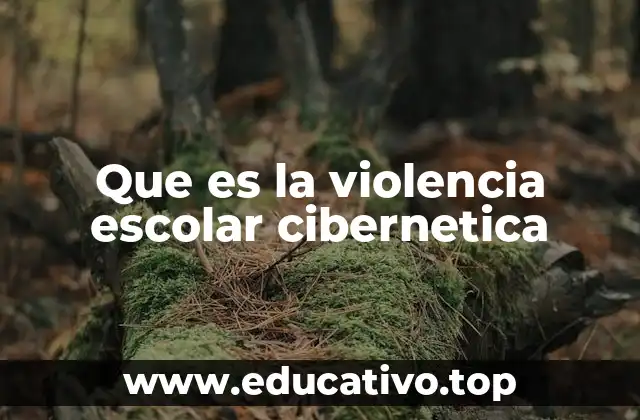 Que es la violencia escolar cibernetica