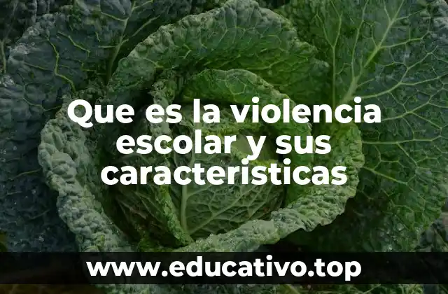 Que es la violencia escolar y sus caracteristicas