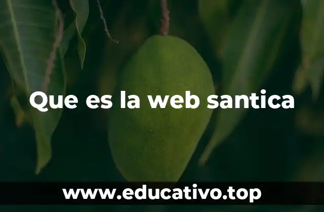 Que es la web santica