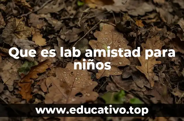 Que es lab amistad para niños