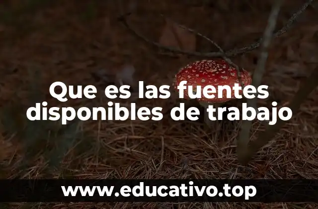 Que es las fuentes disponibles de trabajo