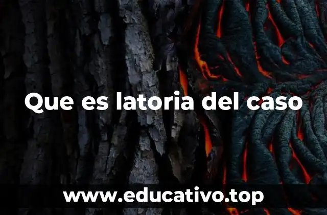 Que es latoria del caso