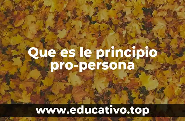 El enfoque humano detrás de las decisiones públicas