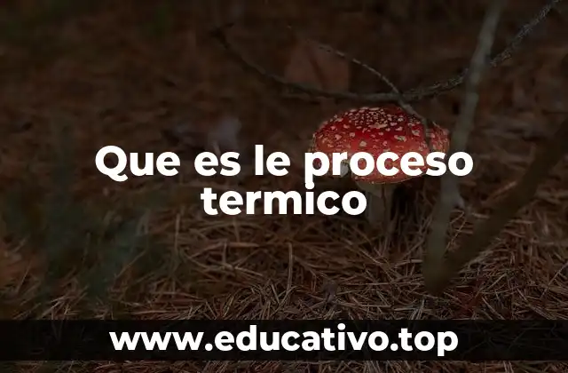 Que es le proceso termico