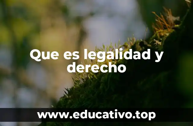 Que es legalidad y derecho