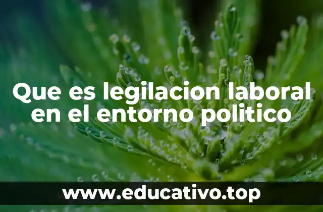 Que es legilacion laboral en el entorno politico