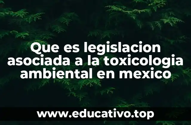 El papel de las instituciones mexicanas en la regulación ambiental