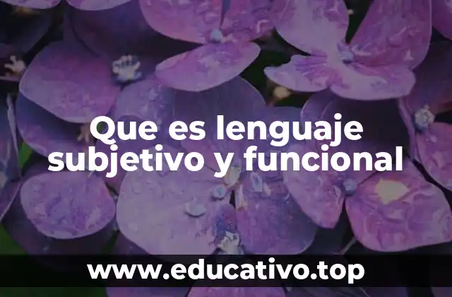 Que es lenguaje subjetivo y funcional
