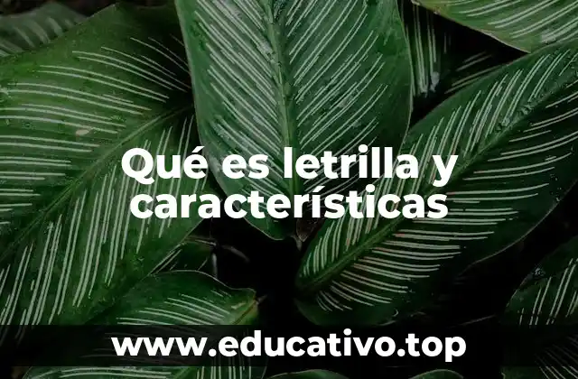 Qué es letrilla y características