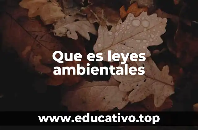 Que es leyes ambientales