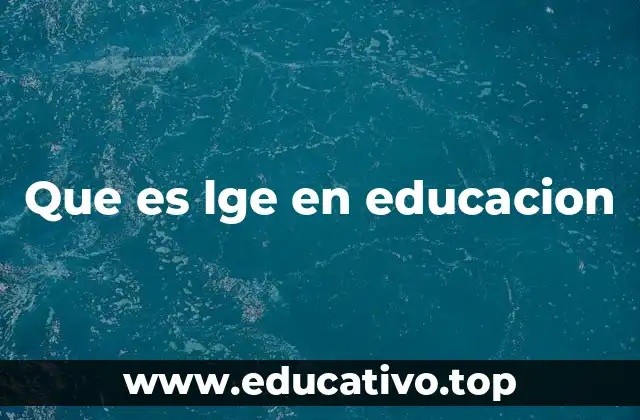 El impacto del LGE en la organización escolar