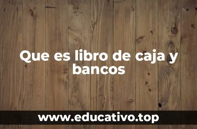 Que es libro de caja y bancos