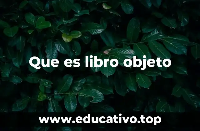 Que es libro objeto
