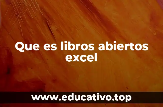 Que es libros abiertos excel