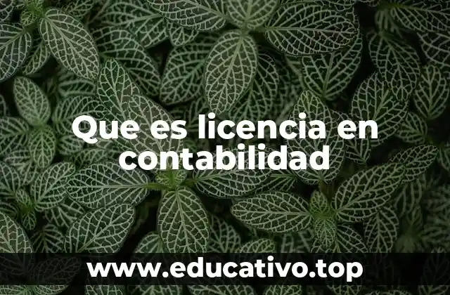 La formación profesional en contabilidad y su relación con la licencia