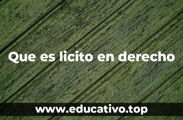 El marco legal que define lo permitido