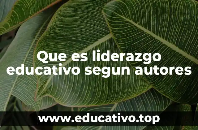 El rol del líder en la transformación educativa