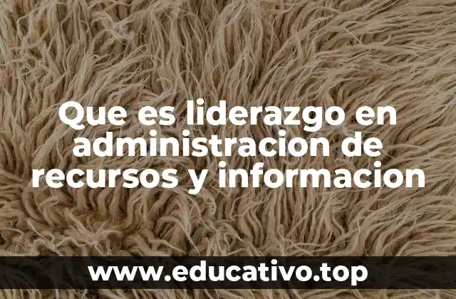 Que es liderazgo en administracion de recursos y informacion