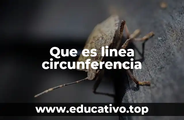 Que es linea circunferencia