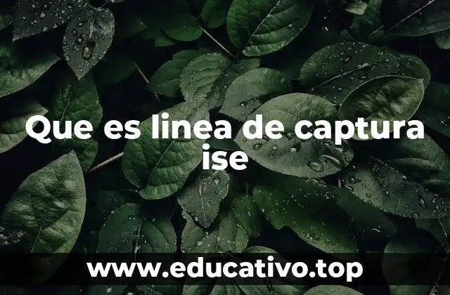 Que es linea de captura ise