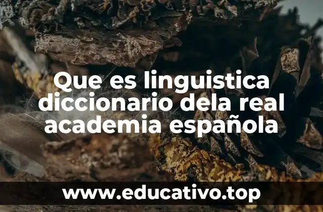 Que es linguistica diccionario dela real academia española