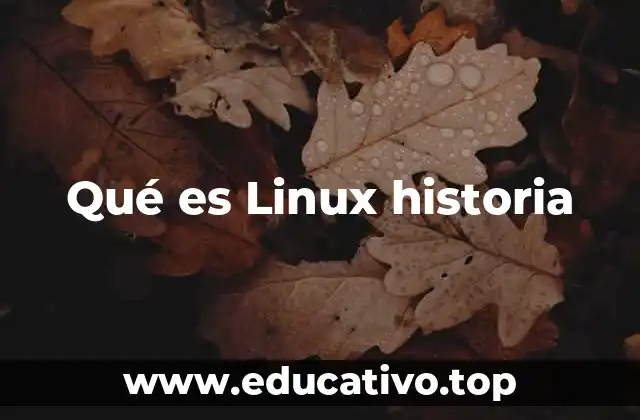 Qué es Linux historia