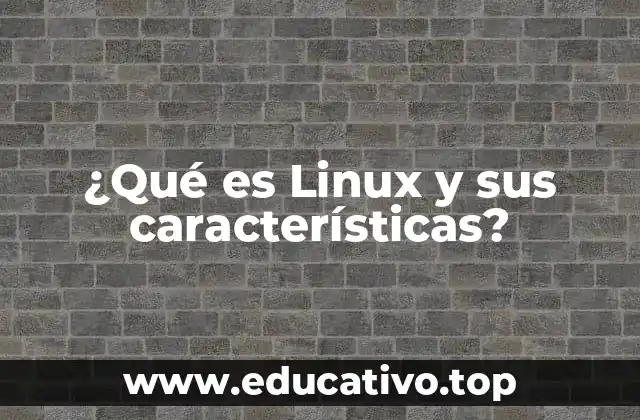 ¿Qué es Linux y sus características?