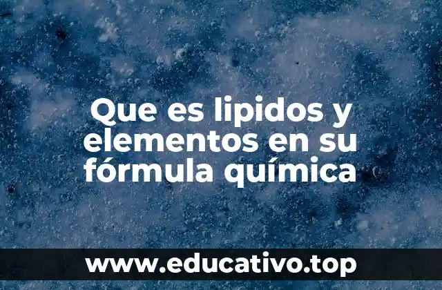 Que es lipidos y elementos en su fórmula química