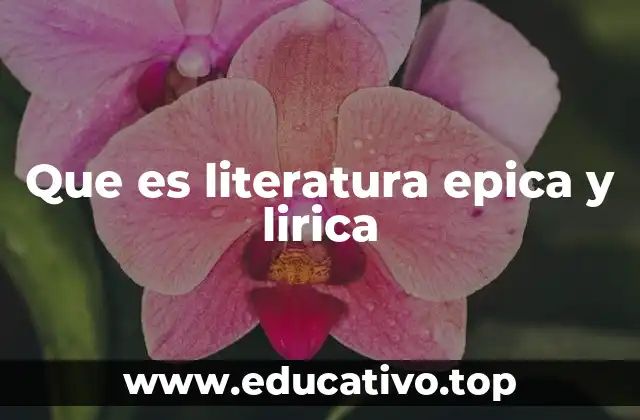 Que es literatura epica y lirica