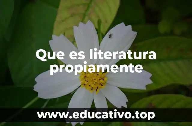 Que es literatura propiamente