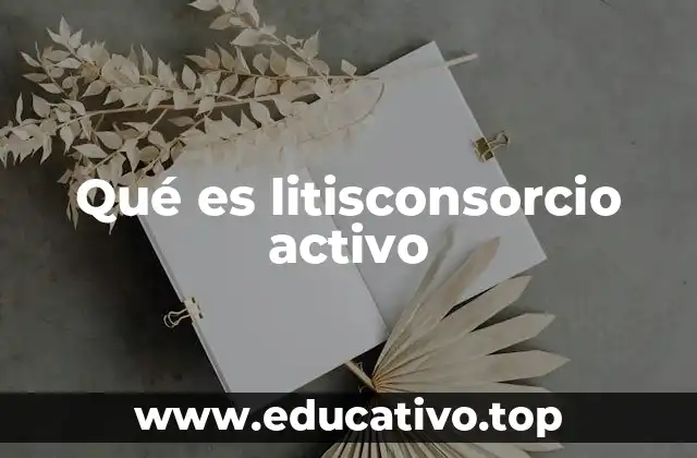 Qué es litisconsorcio activo