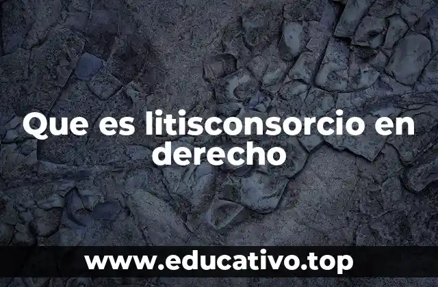 Que es litisconsorcio en derecho