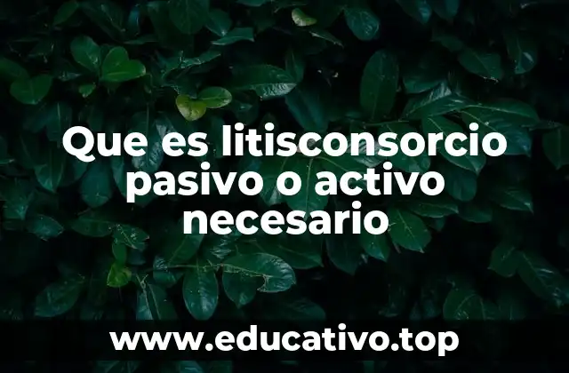 Que es litisconsorcio pasivo o activo necesario