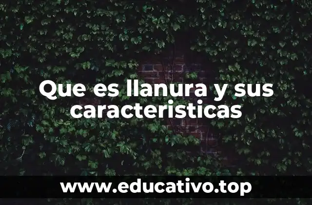 Que es llanura y sus caracteristicas