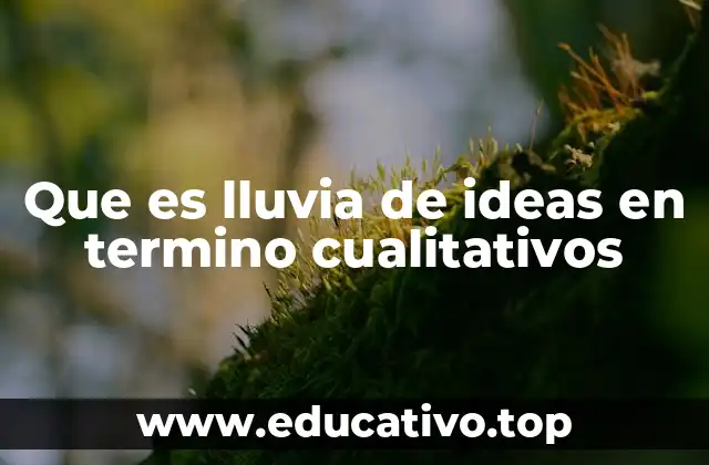 Que es lluvia de ideas en termino cualitativos