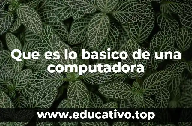 Que es lo basico de una computadora