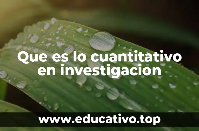 Que es lo cuantitativo en investigacion
