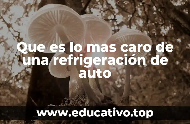 Componentes clave del sistema de refrigeración