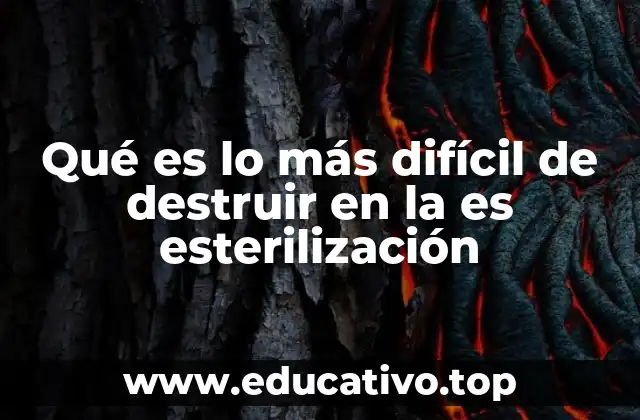 La resistencia microbiana y su impacto en la esterilización