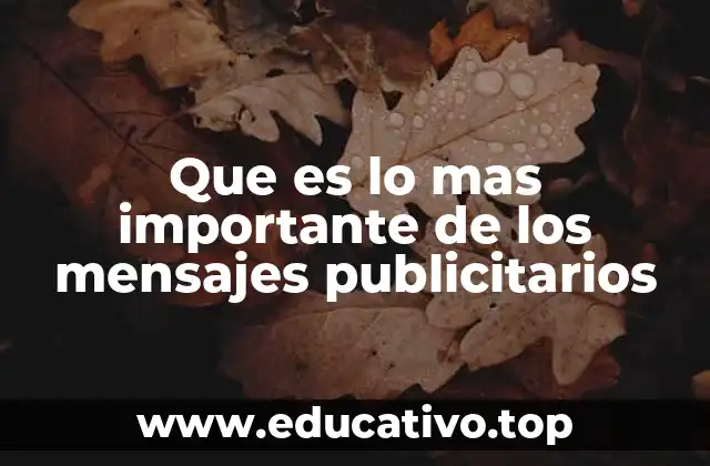 Que es lo mas importante de los mensajes publicitarios