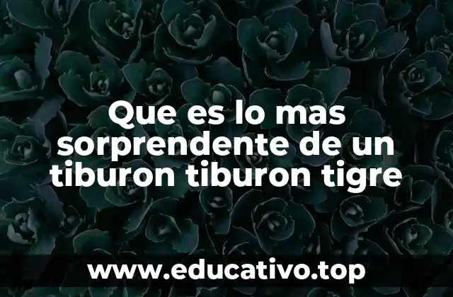 Que es lo mas sorprendente de un tiburon tiburon tigre