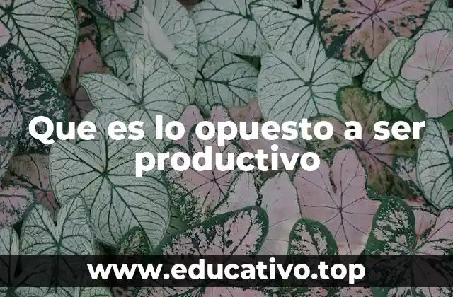 Que es lo opuesto a ser productivo