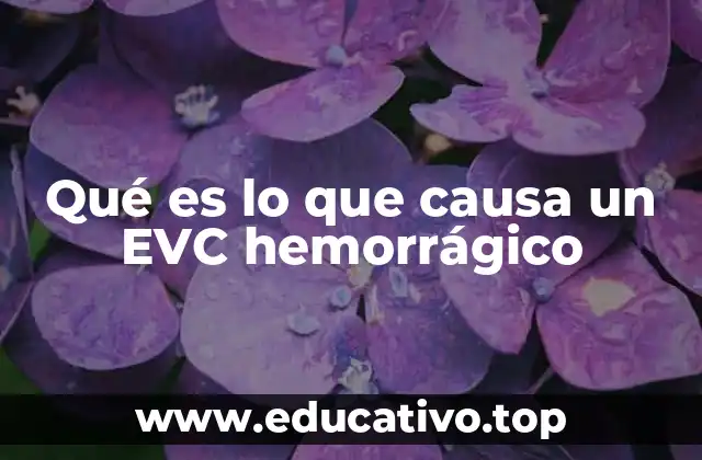 Factores que pueden desencadenar un EVC hemorrágico