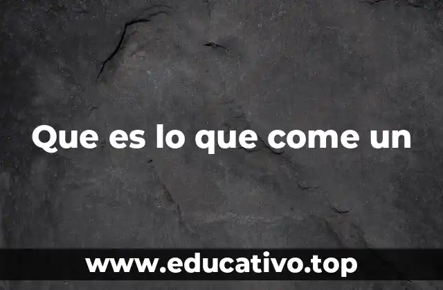 Que es lo que come un