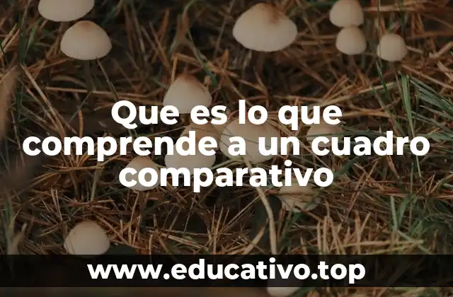 La importancia de estructurar información de manera visual