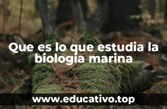 Que es lo que estudia la biologia marina
