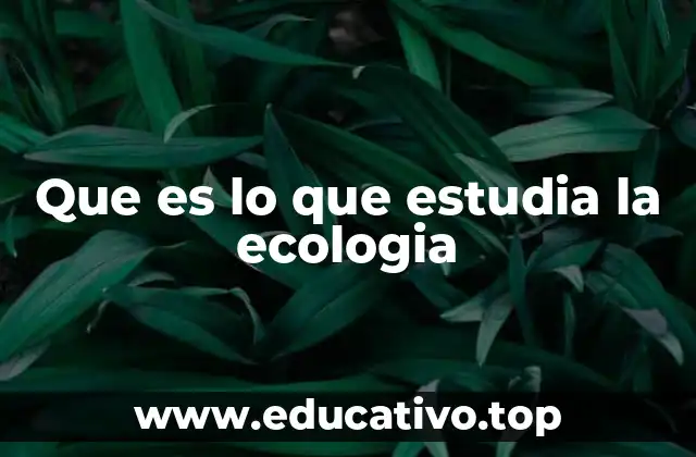 La importancia de entender los ecosistemas para la ecología